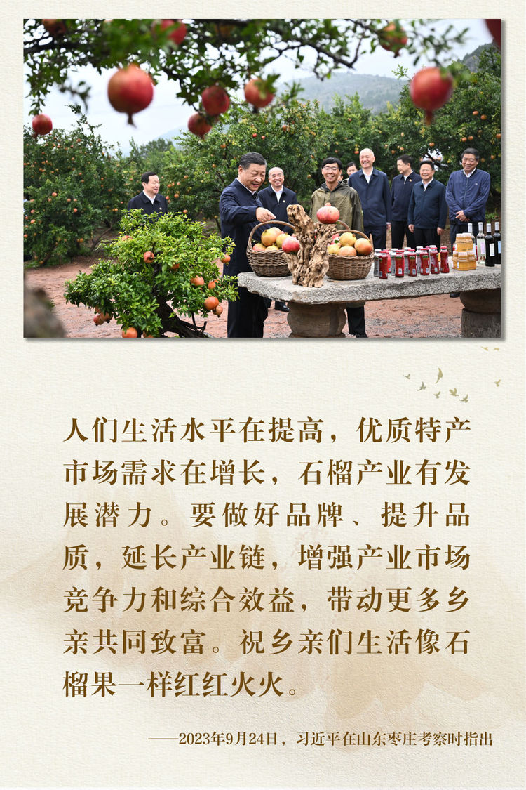 鏡觀·領航丨總書記足跡裏的關切事：特色産業富鄉村