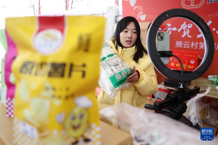 甘肅定西：特色年集激活“年經濟”