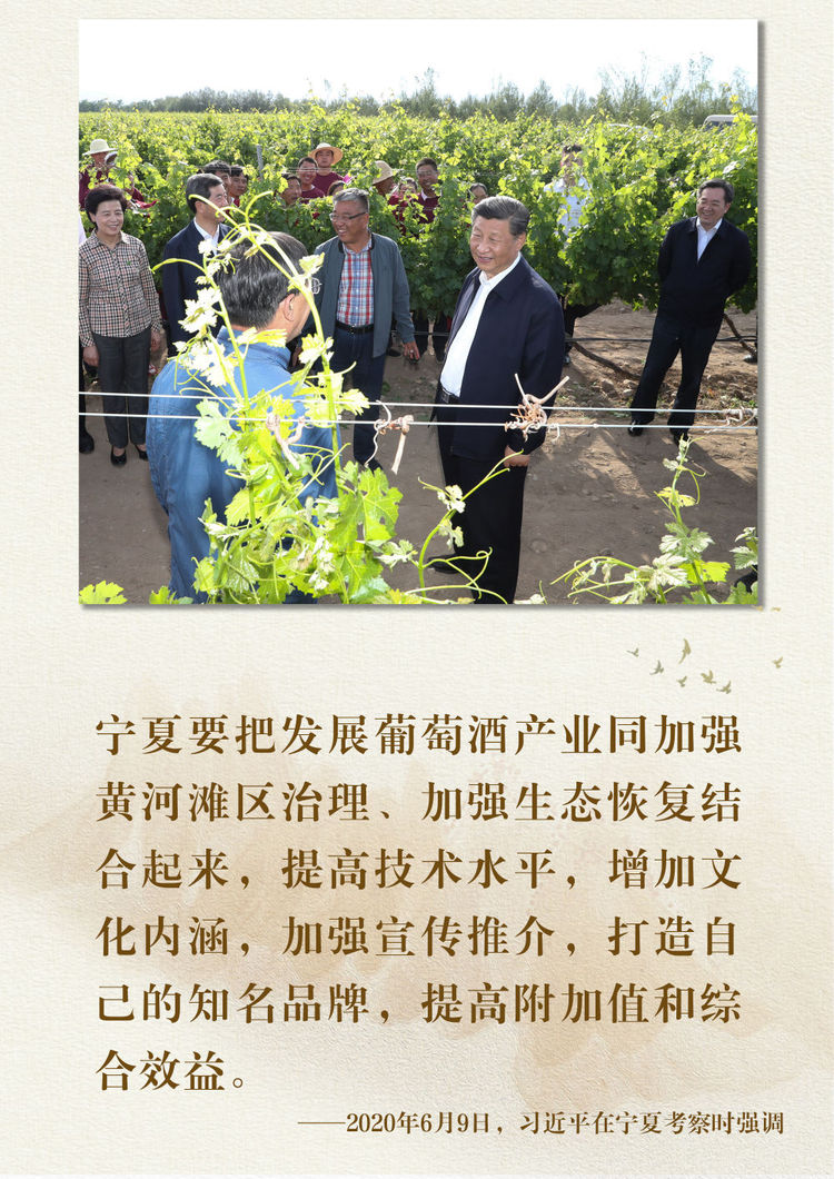 鏡觀·領航丨總書記足跡裏的關切事：特色産業富鄉村
