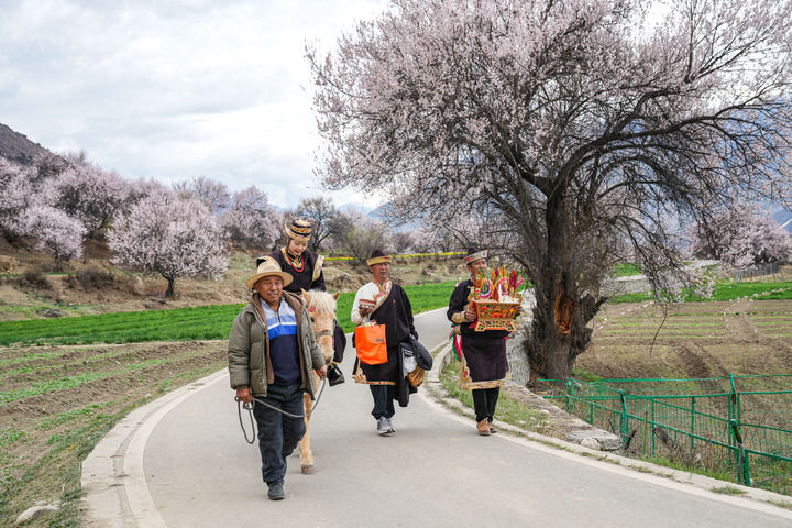 總書記在全國兩會上的重要部署引領中國式現代化譜新篇