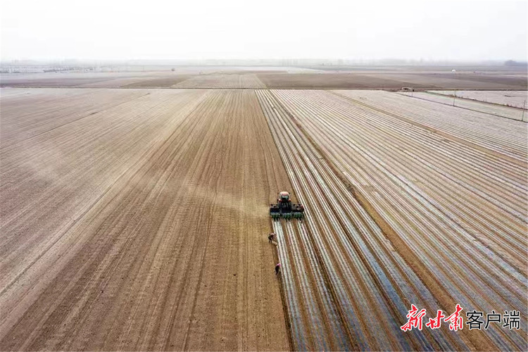 全力打好農業生産第一仗——甘肅省緊盯節水增糧單産提升提早佈局春耕備耕