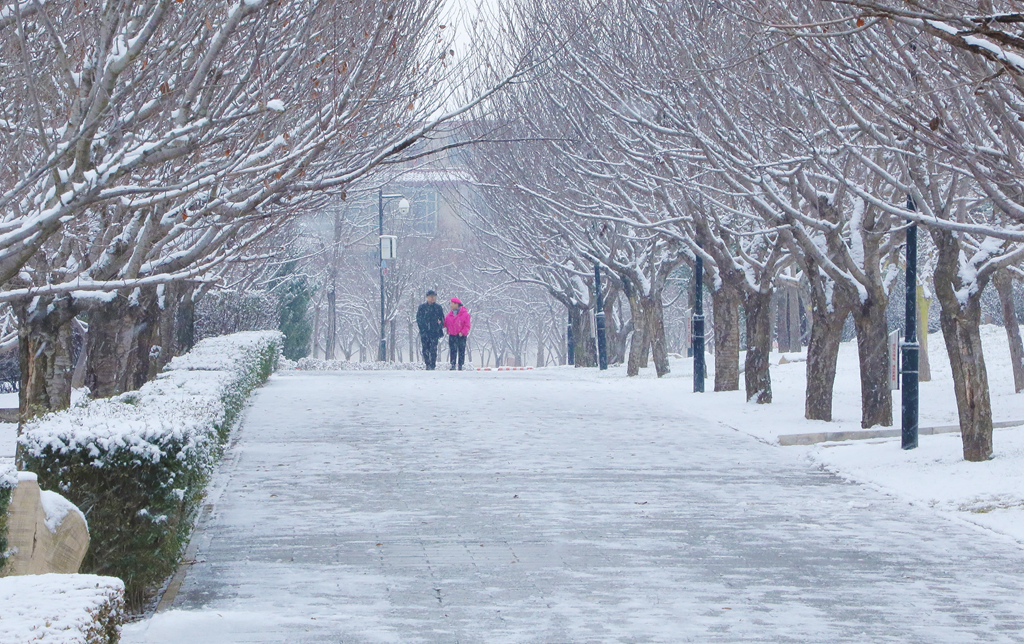 天水市清水縣銀裝素裹 絕美雪景盡收眼底