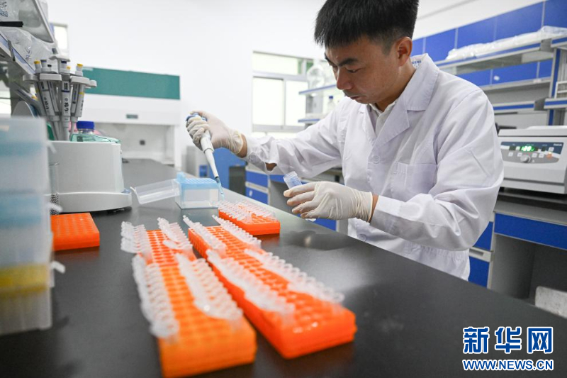 種在鹽鹼地、灌溉用海水 這樣的“海水蔬菜”好吃嗎？