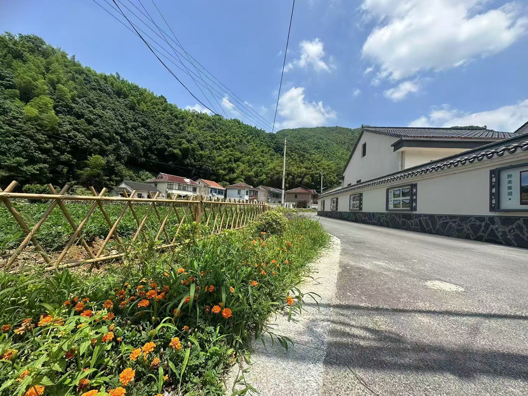 組織強村 産業富村 文化興村  寧波余姚梨洲街道“三聚力”打造雁湖共富先行村