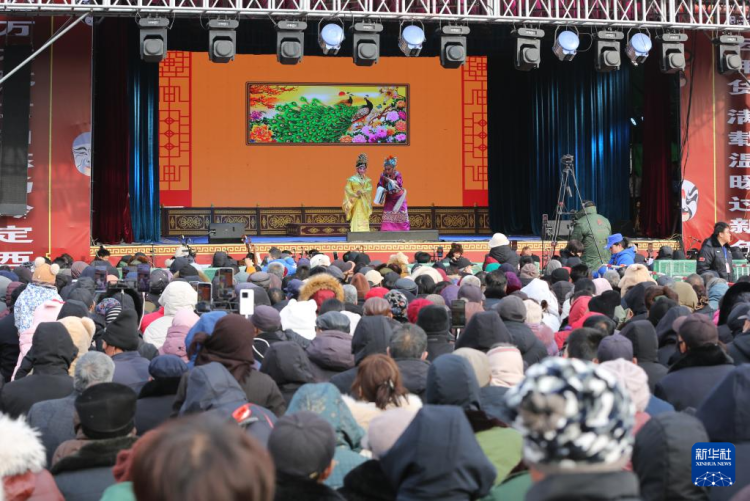 甘肅定西：特色年集激活“年經濟”