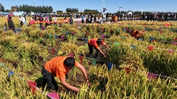 2024年“中國農民豐收節”內蒙古主會場活動在興安盟舉行
