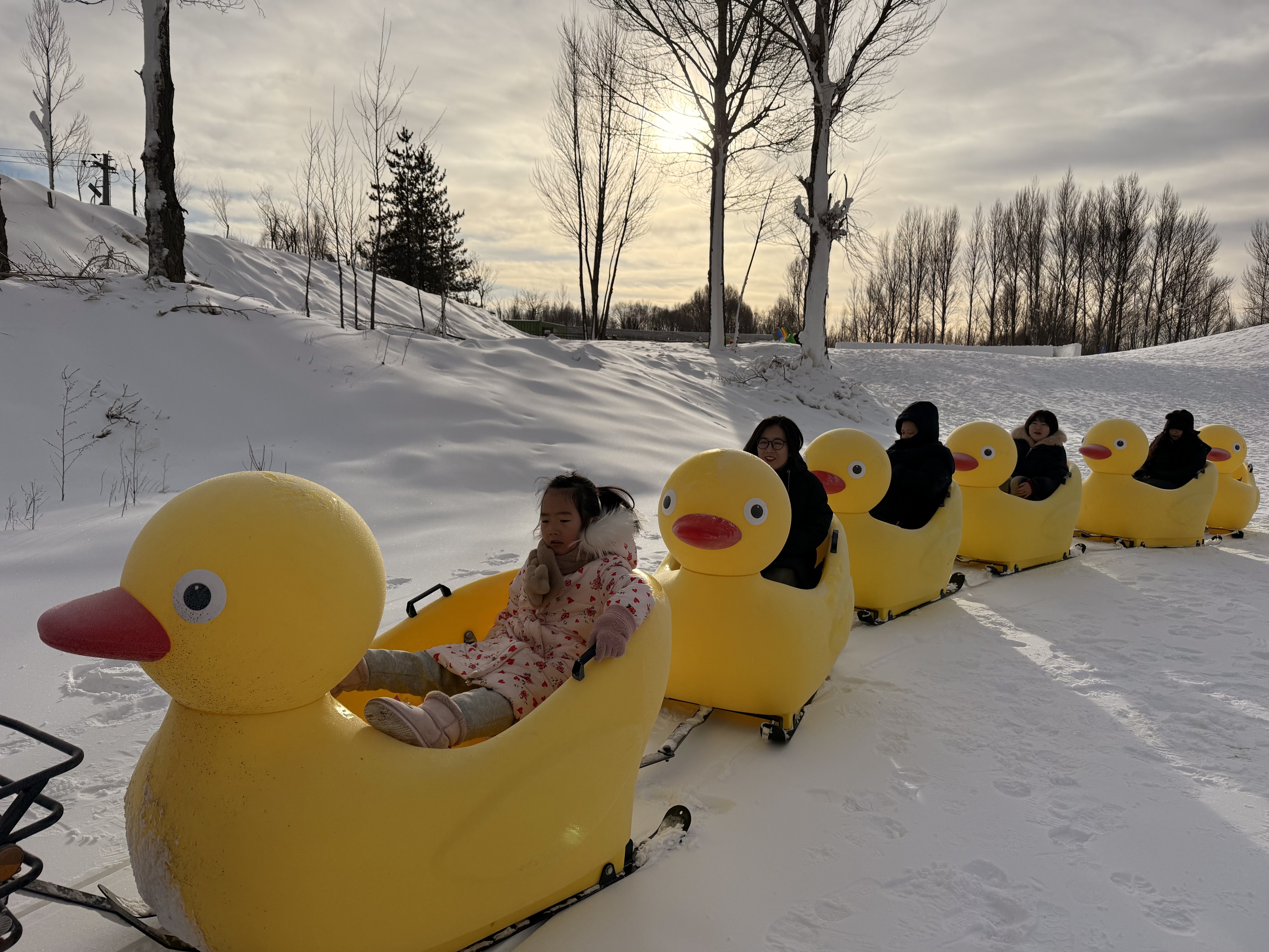 12月22日，來鄂爾多斯野生動物園體驗歡樂冰雪季
