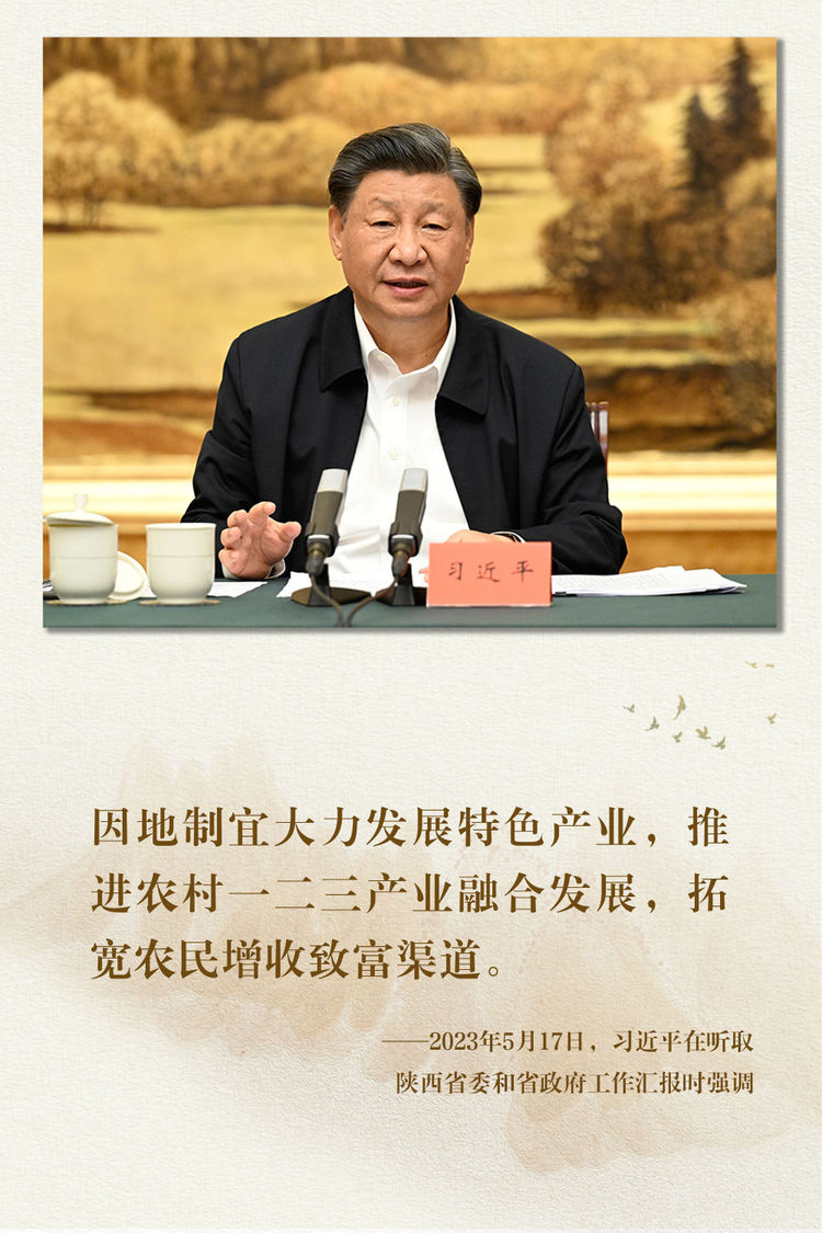 鏡觀·領航丨總書記足跡裏的關切事：特色産業富鄉村