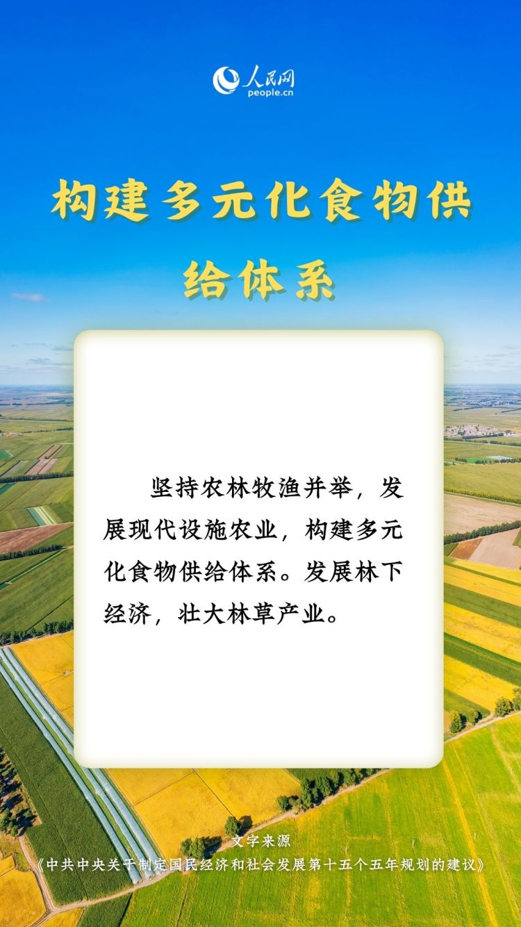 熱詞裏的“十五五”丨這些“三農”關鍵詞，透露增收新路徑_fororder_4