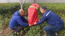金華市交投集團下屬交投物業公司多措並舉築牢防寒防凍“安全墻”