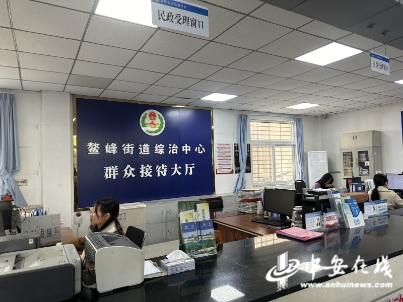 2025政法綜治江淮行 | 從“多扇門”到“一扇門”，看宣城之變_fororder_2