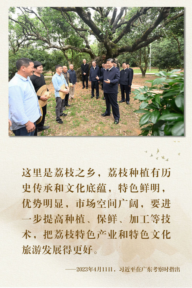 鏡觀·領航丨總書記足跡裏的關切事：特色産業富鄉村