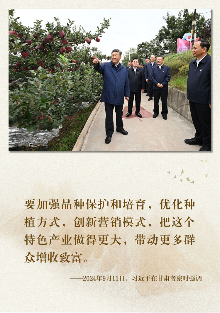 鏡觀·領航丨總書記足跡裏的關切事：特色産業富鄉村