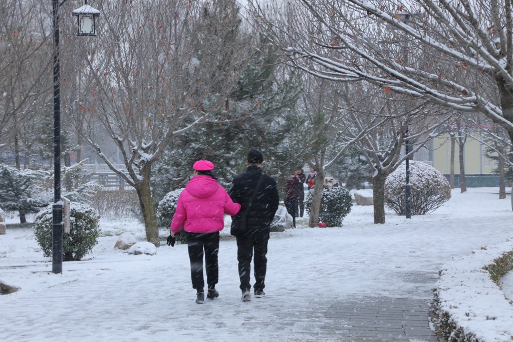 天水市清水縣銀裝素裹 絕美雪景盡收眼底