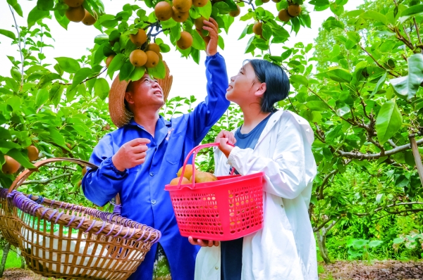 奔向更紅火的日子——衡陽市珠暉區“十四五”高品質發展紀實
