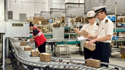 1.29萬億，全國第五！從“成績單”看寧波外貿蓬勃生機