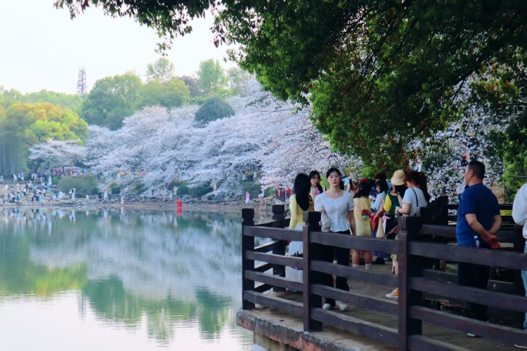 圖片默認標題_fororder_9