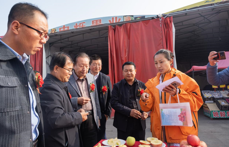 津甘合作譜新篇 寧縣蘋果京津冀行銷中心在津成立