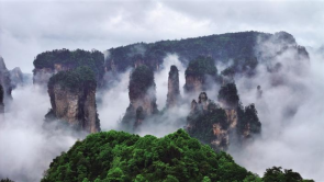 張家界雨後“懸浮山” 美景入畫來