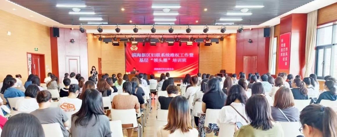 天津市濱海新區婦聯：抓實“六個一”舉措 依法維護婦女兒童合法權益