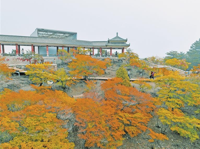 賀蘭山國家森林公園層林盡染