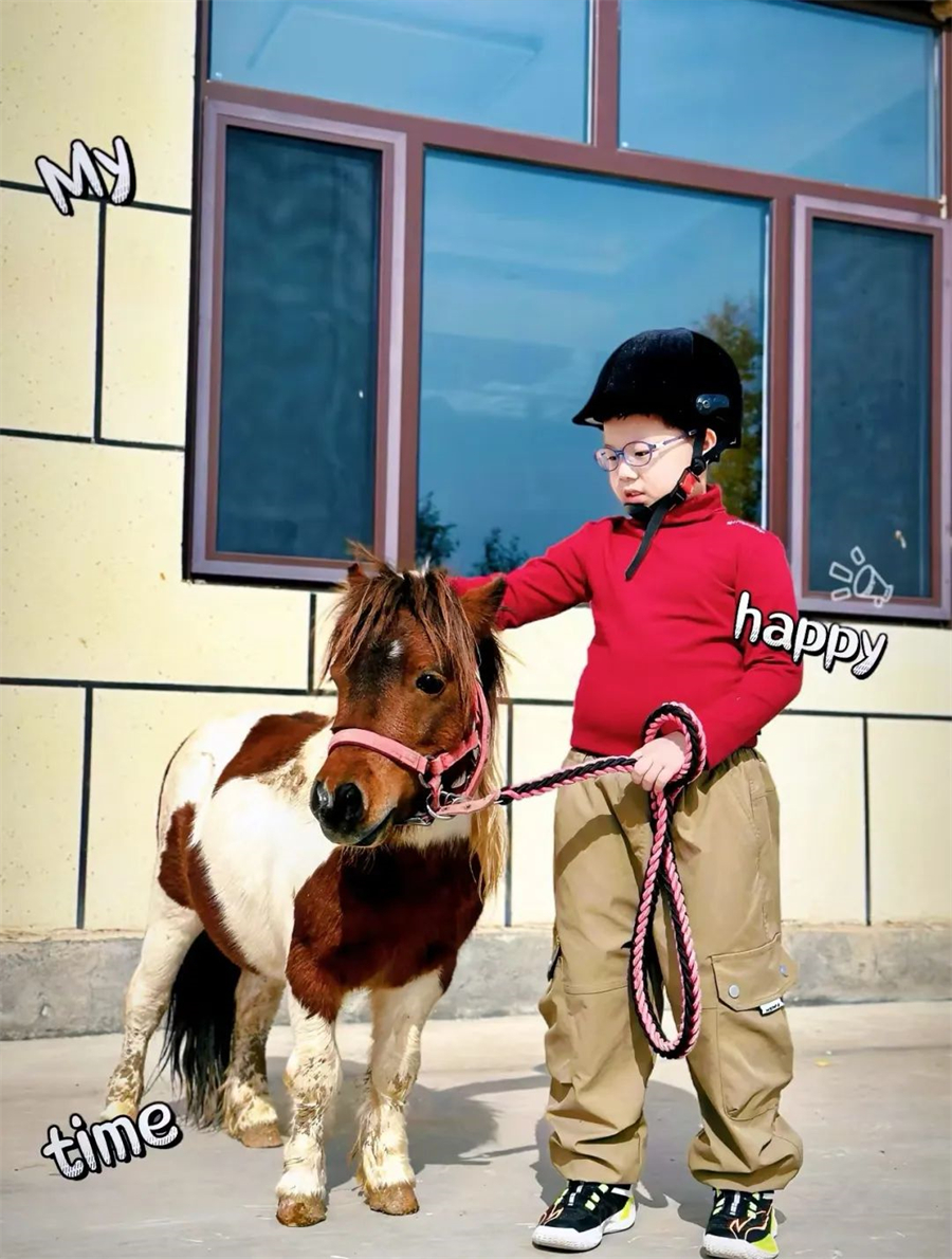 津彩過大年 | 尋年味 找萌獸 買年貨！你確定不來看看？