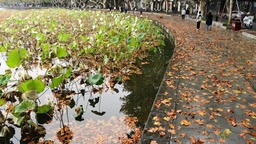 強冷空氣即將暴擊，降溫又快又猛