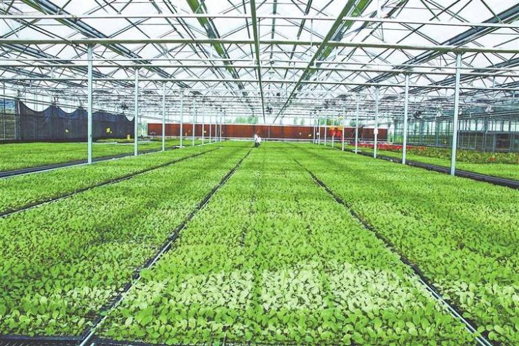 讓綠色成為農業發展底色——甘肅省將農業生産與生態環保同部署同推進