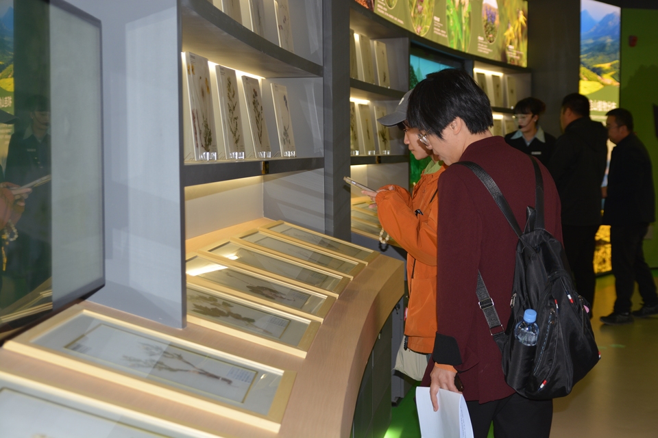 【祁連山下是我家】祁連山國家公園自然博物館：探索祁連山自然奧秘的窗口
