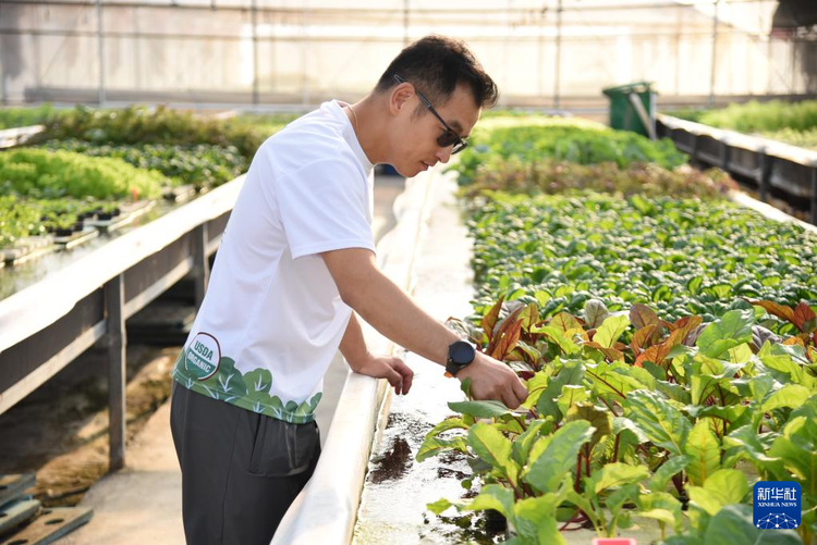 澳門回歸祖國25週年丨廣闊天地 自由馳騁——澳門青年內地追夢記