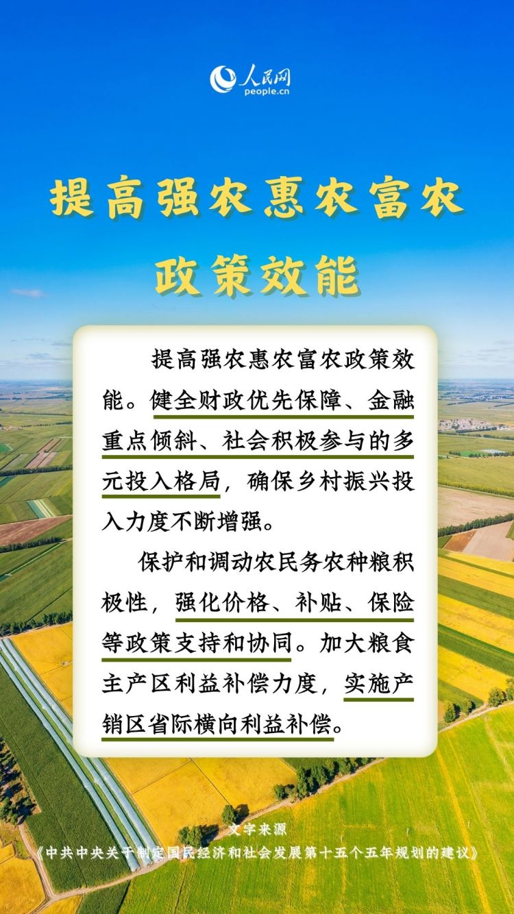 熱詞裏的“十五五”丨這些“三農”關鍵詞，透露增收新路徑_fororder_9