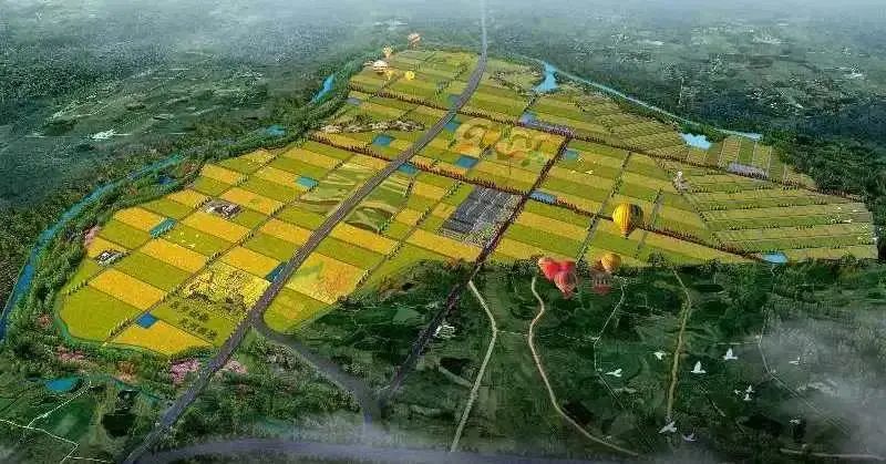 合肥市蜀山區委副書記、區長楊森走訪調研運河新城企業和重點項目