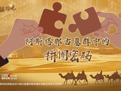 新疆拾光H5｜阿斯塔那古墓群中的拼圖密碼