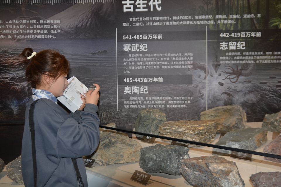 【祁連山下是我家】祁連山國家公園自然博物館：探索祁連山自然奧秘的窗口