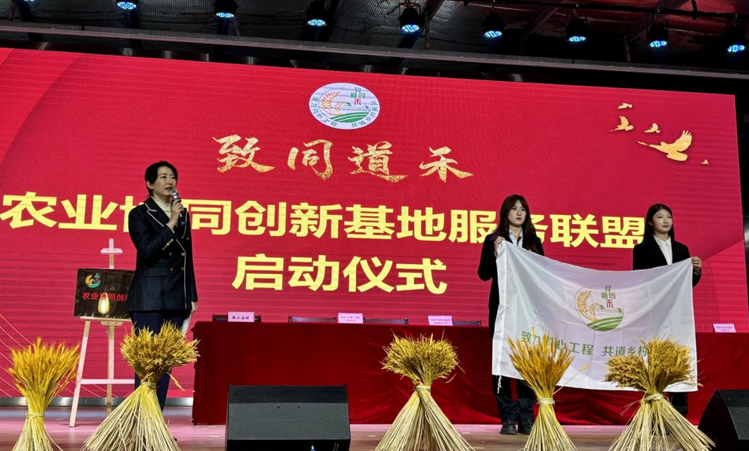 天津市津南區：“津彩南望 樂享豐收”八里臺鎮豐收市集暨“致同道禾”農業協同創新基地服務聯盟正式成立
