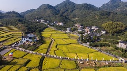 浙江省文化特派員派駐鄉村半年記：當好“實幹派”爭做“實力派”，以文化促進物質精神共同富裕