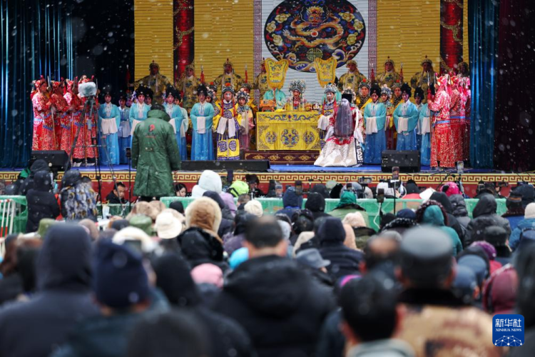 甘肅定西：特色年集激活“年經濟”