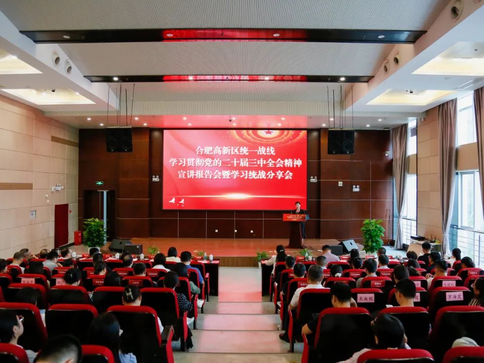 “合肥市2024年度統戰工作實踐創新評選”結果揭曉