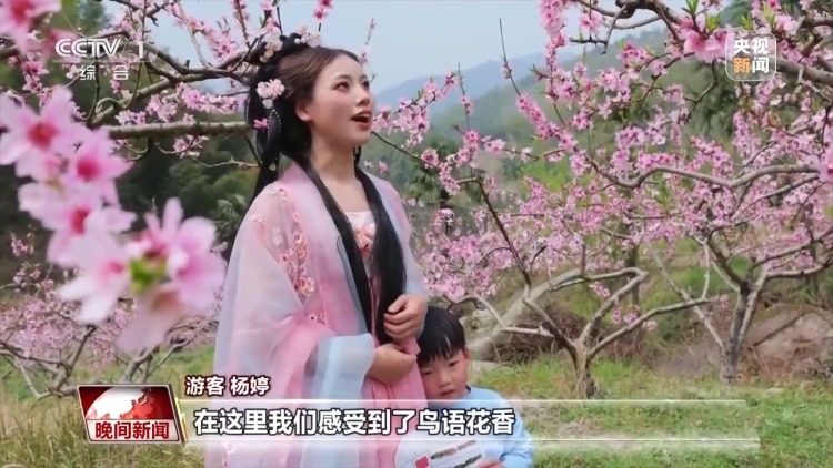 賞花、採茶、觀鳥…… 這個清明假期盡享美好春日時光