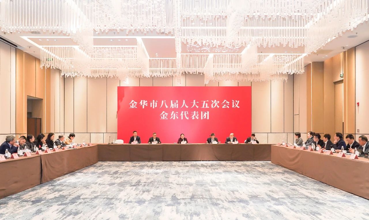 金東代表團審議金華市政府工作報告