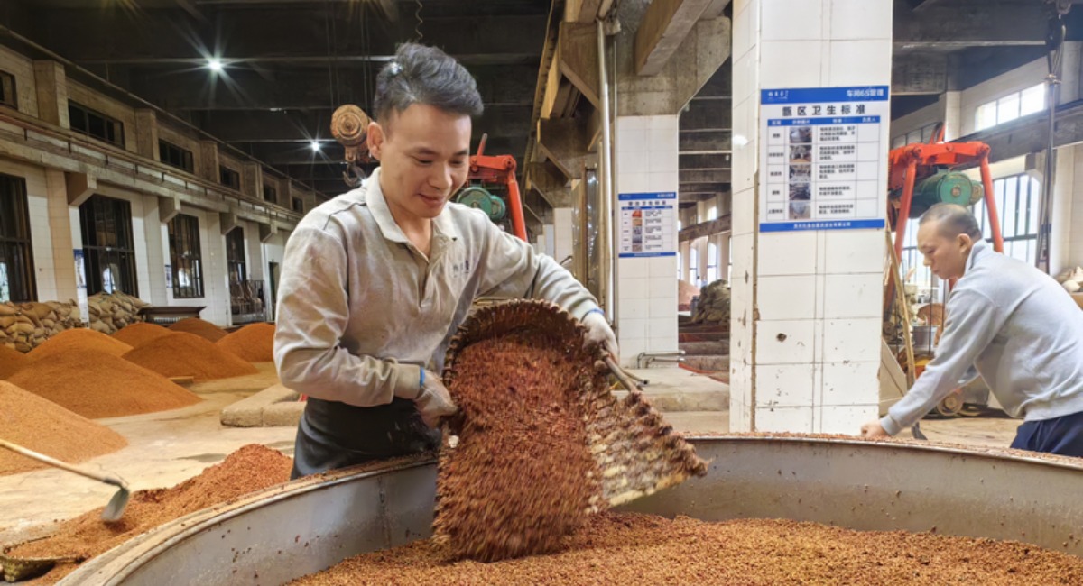 貴州仁懷：重陽下沙正當時 恪守工藝釀造忙