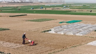 安徽蚌埠五河：菜農節後種菜忙