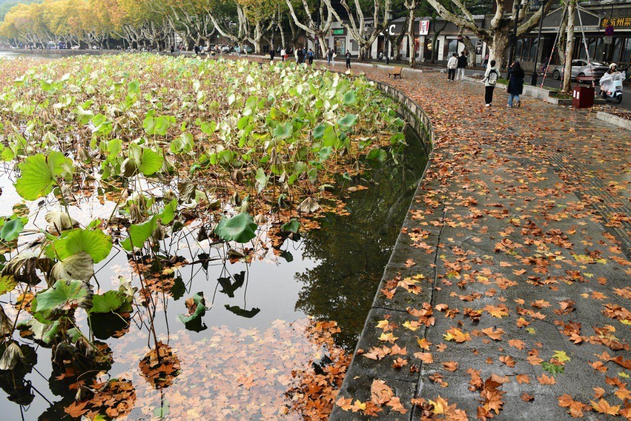 強冷空氣即將暴擊，降溫又快又猛