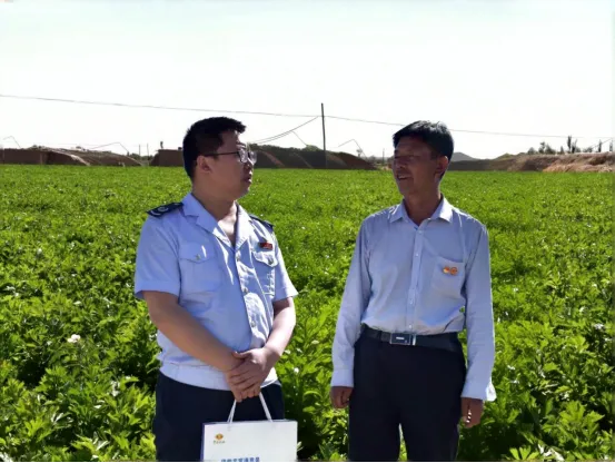 甘肅武威：戈壁灘蔬菜直供粵港灣區 “菜籃子”裏的合規“稅”密碼_fororder_1