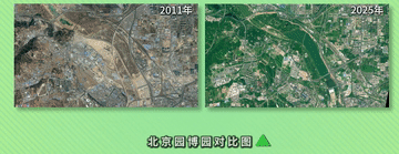 微視頻｜總書記與春天的綠色約定