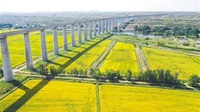 籽籽同心 幸福暖城——內蒙古鄂爾多斯市鞏固提升民族團結進步創建成果綜述