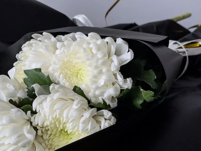 老雷啊,他們又來看你啦……