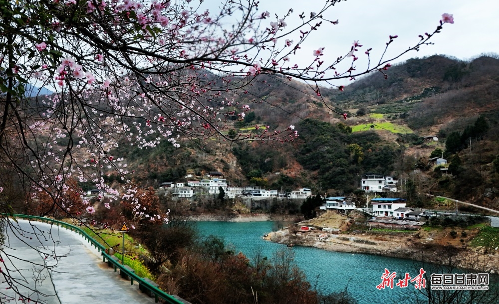 初春隴南文縣讓水河畔現“金鑲玉”景觀