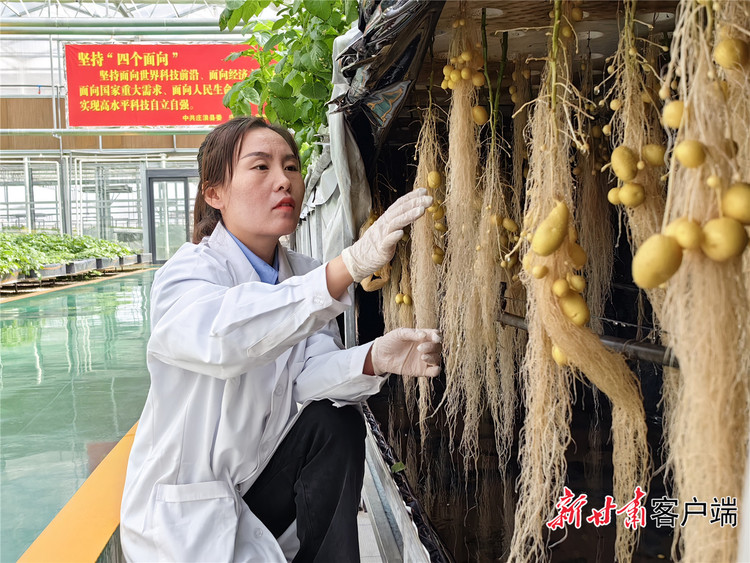 全力打好農業生産第一仗——甘肅省緊盯節水增糧單産提升提早佈局春耕備耕