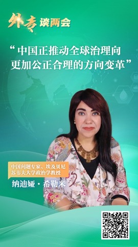 外專談兩會丨埃及專家：中國正推動全球治理向更加公正合理的方向變革_fororder_圖片